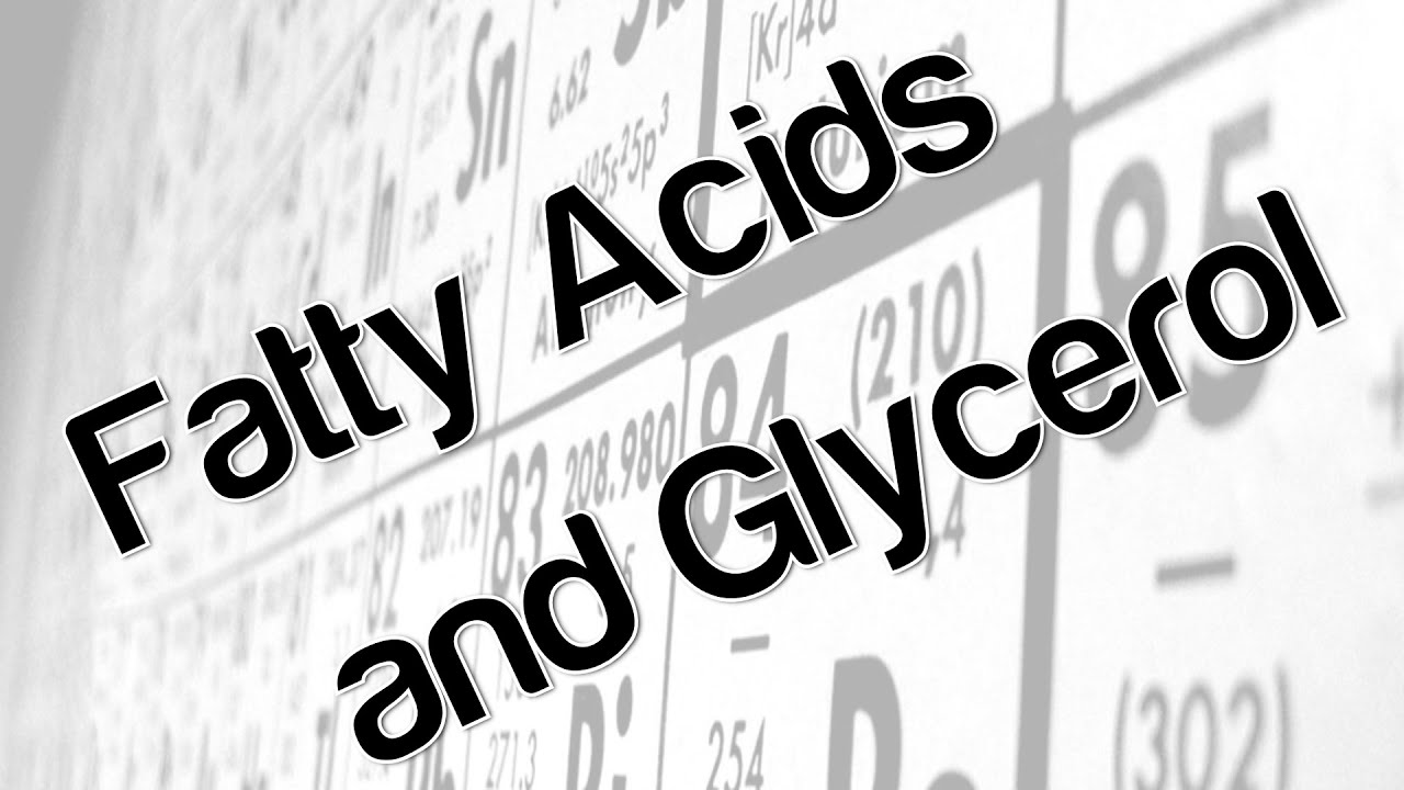 Fatty acids and glycerol