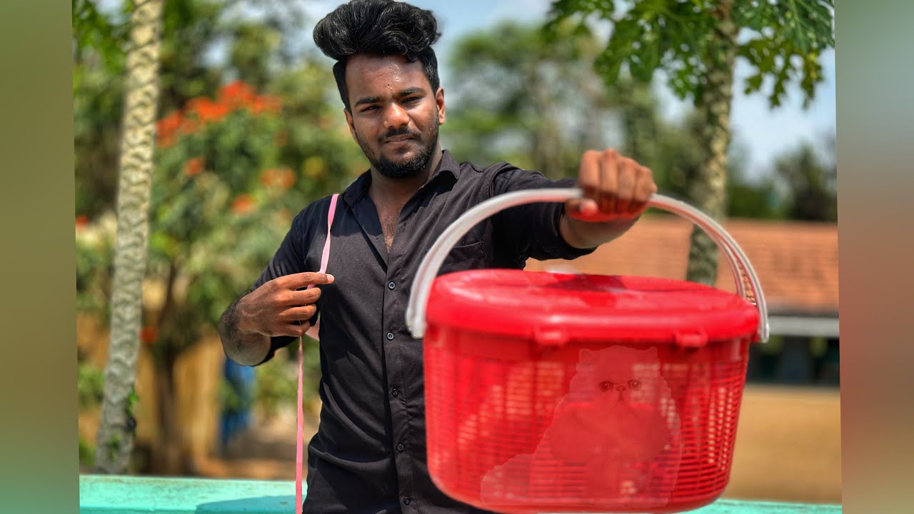 OUR FAMILY NEW KUTTY 😺 BABULOO CAT REVEALED 🥺✨ - #vlog #cat #trending #trendingvideo