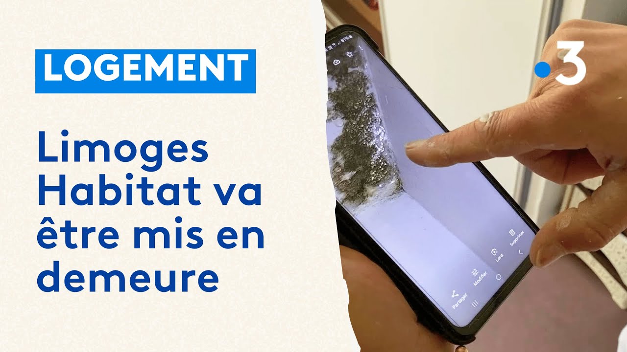 Moisissures, humidité : 17 locataires annoncent un recours devant la justice contre Limoges Habitat