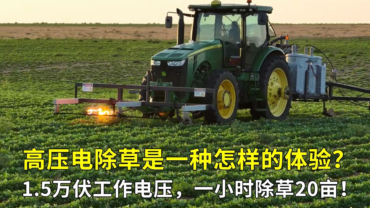 高壓電除草是什麼體驗？ 1.5萬伏工作電壓，一小時輕鬆搞定20畝！
