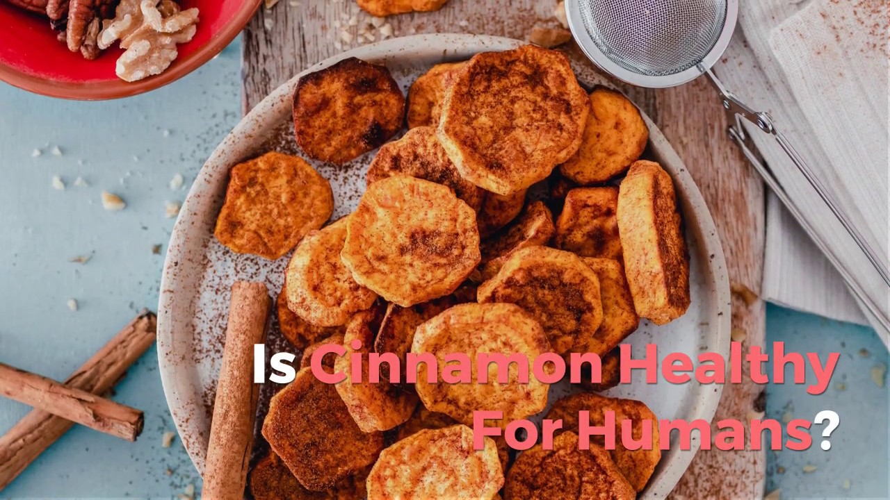Can Dogs Eat Cinnamon? [ANSWERED]