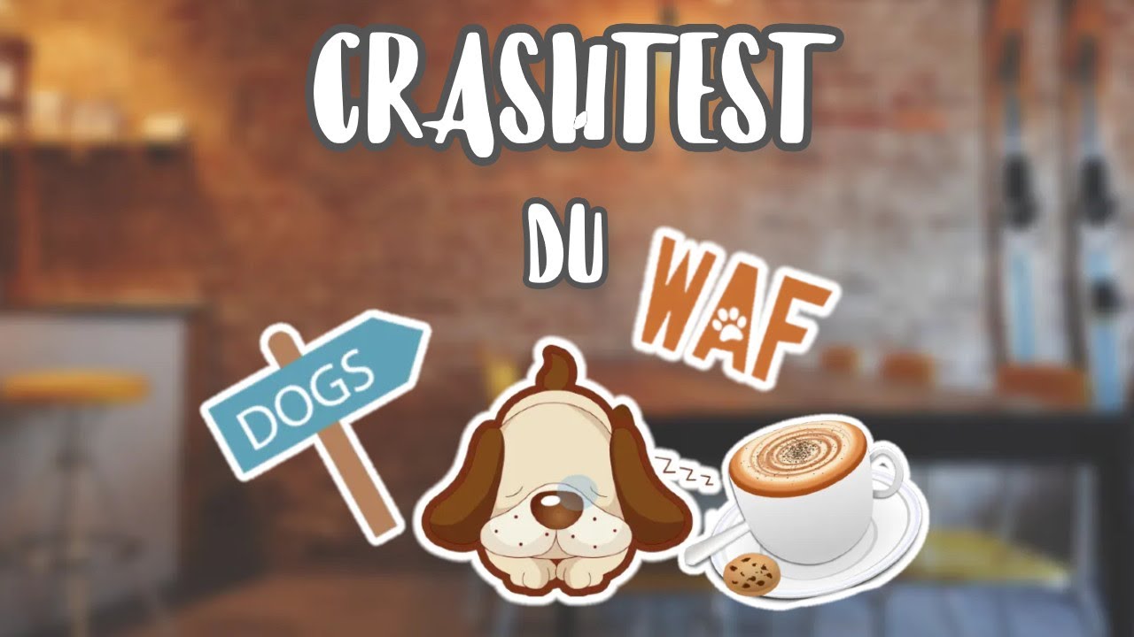 Je teste le PREMIER bar à CHIENS d'EUROPE ! | SUNNY APRIL #chien #lille #cafe