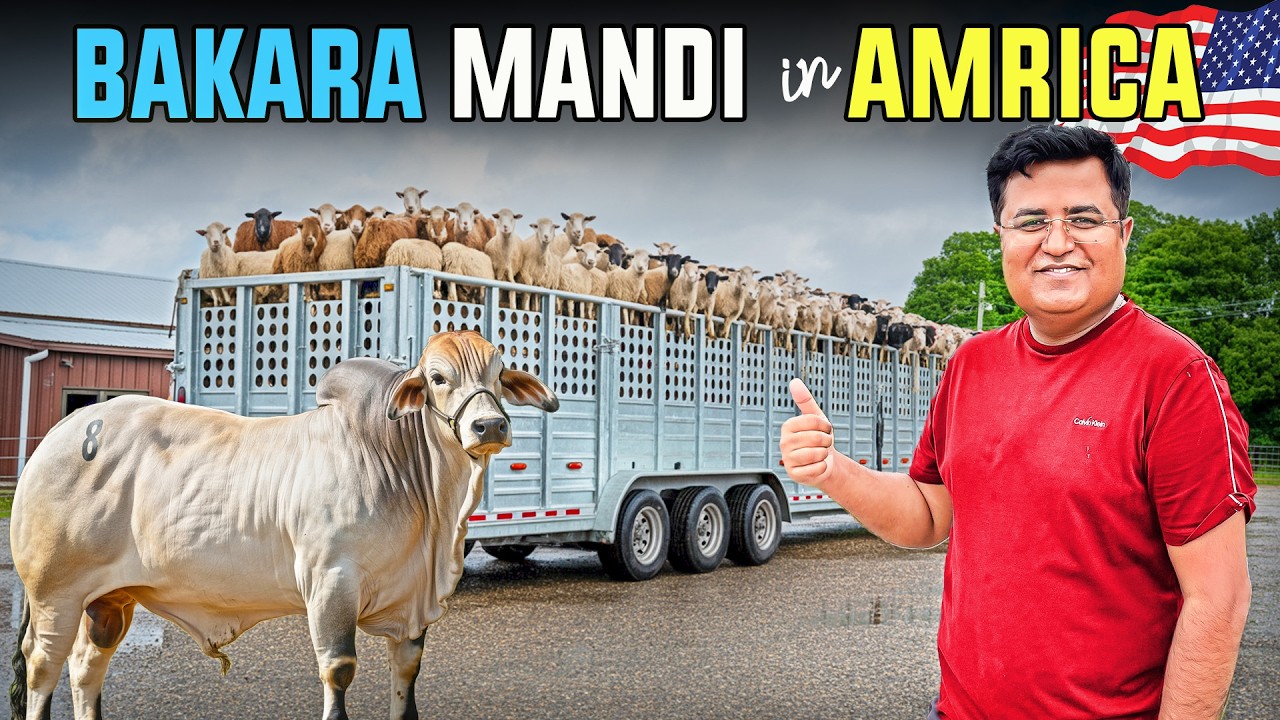 America me bhi BAKRA MANDI Saj Gaye🇺🇸🐄 Eid ki Tayari 😍