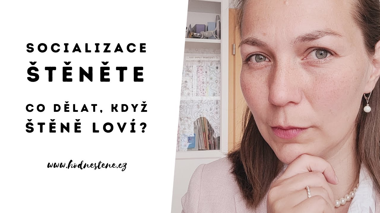 Socializace : Co dělat, když štěně loví a štěká?