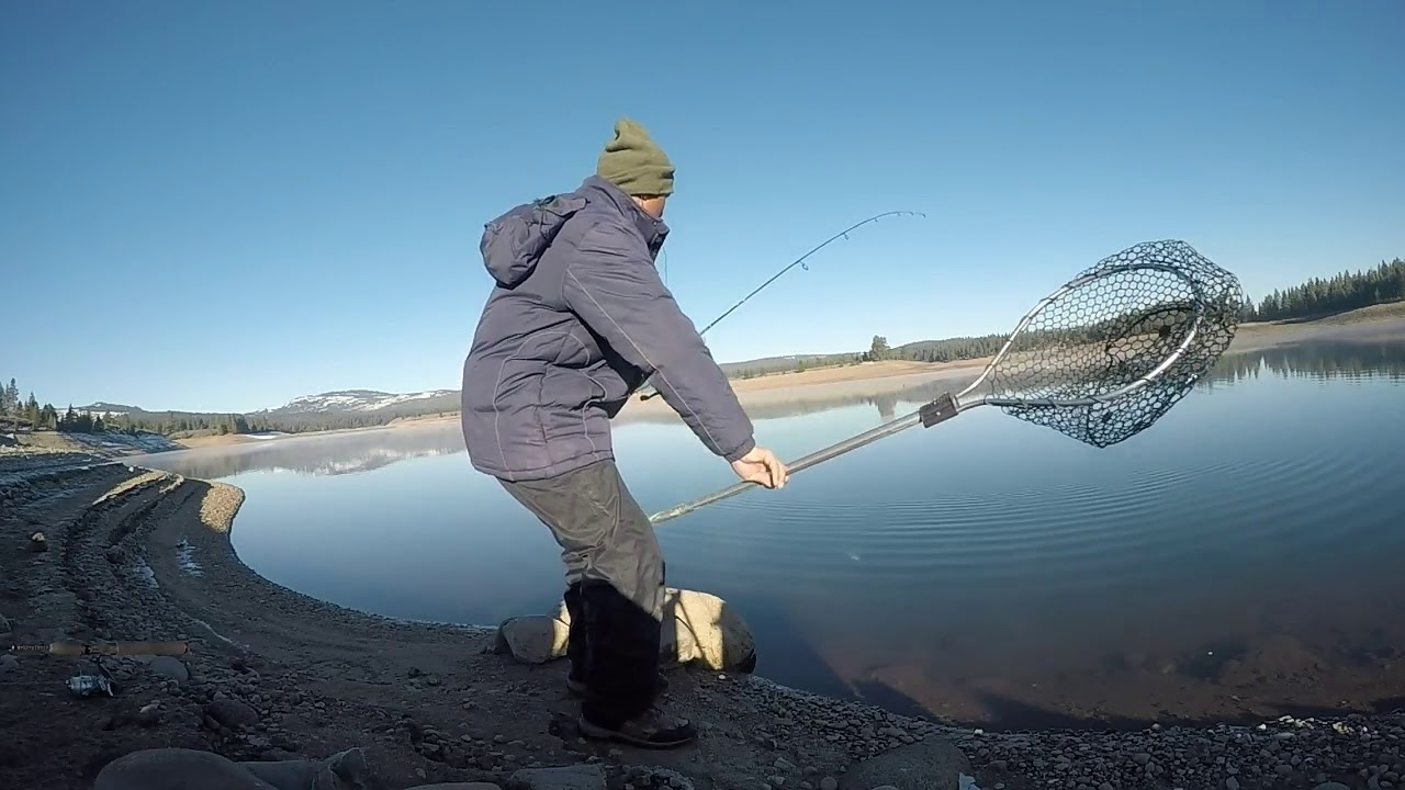 Winter Rainbows to Cook at Prosser Creek Reservoir (Truckee, CA)