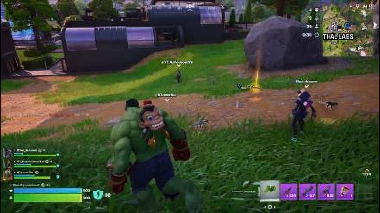 Fortnite Ls