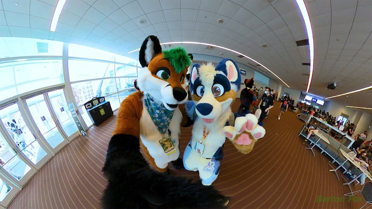 Anthrocon 2022 (AC 2022) - Random Clips