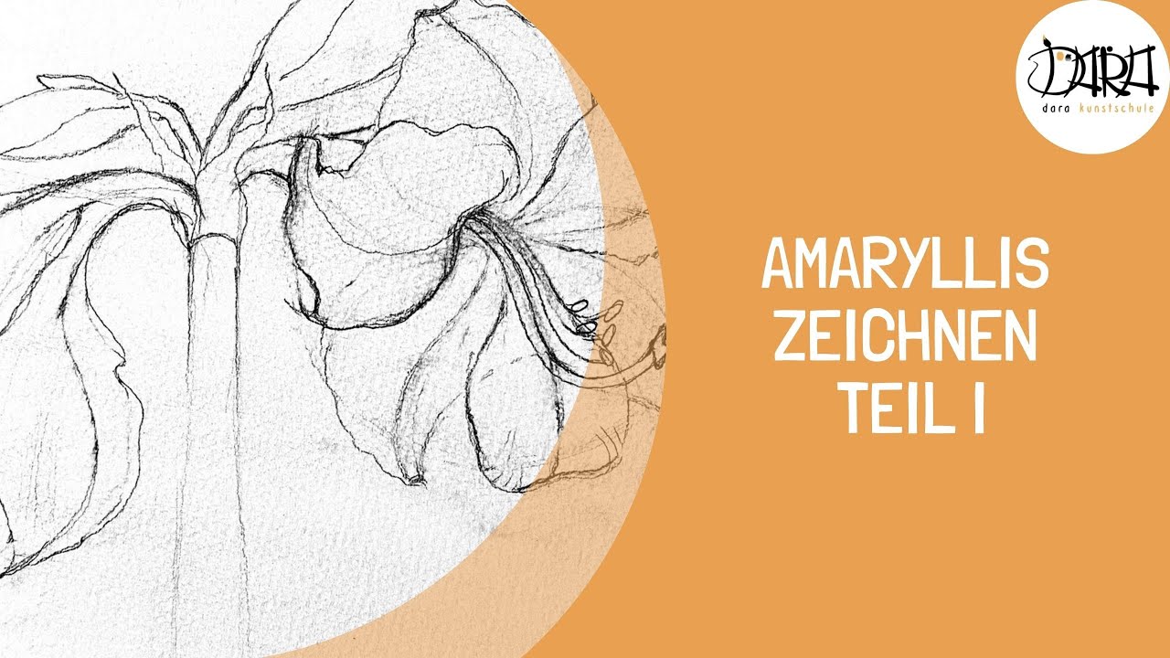 Amaryllis zeichnen Teil I | Schritt für Schritt | Wie zeichnet man Amaryllis | Tutorium