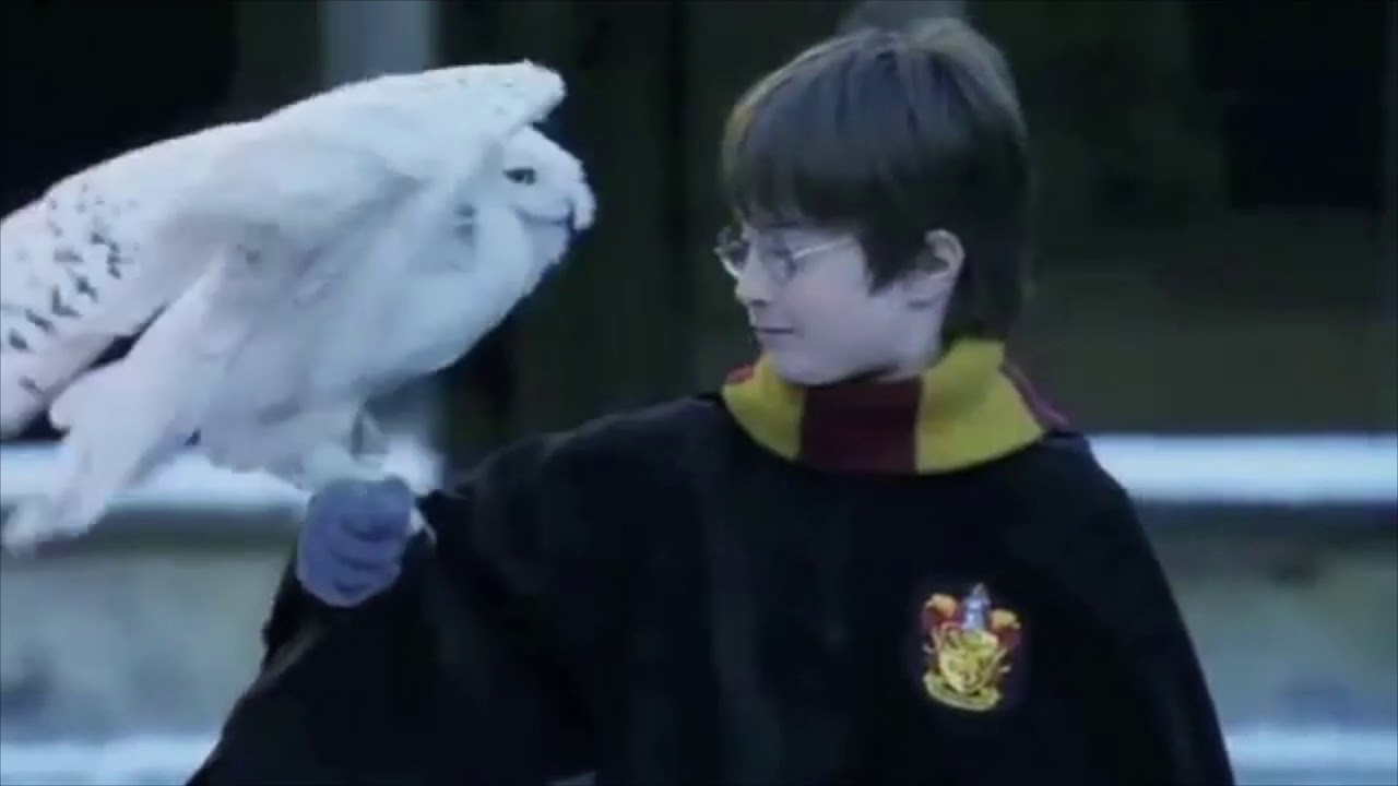 Harry and Hedwig in the snow | FILM CLIP | Harry Potter and the Philosopher's Stone