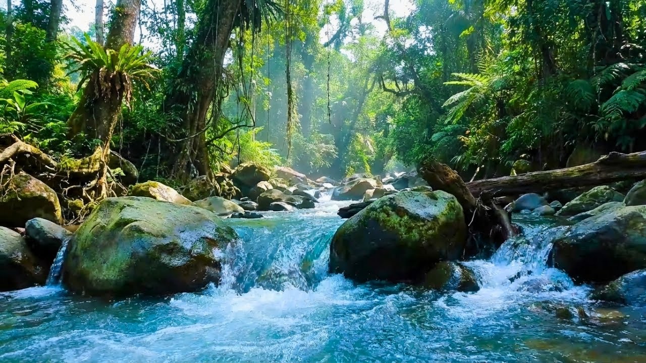 Relaxing Ambience for Sleep – Refreshing Forest River Flow for Mind Relaxation