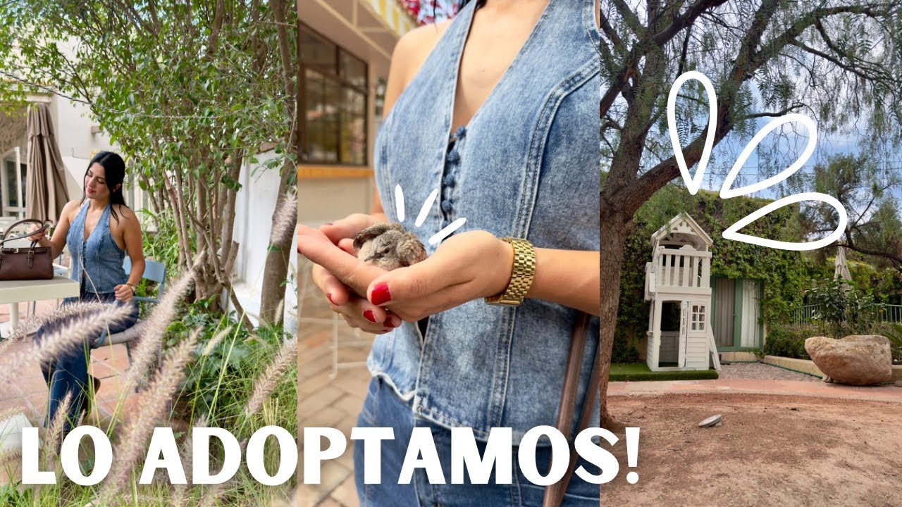 Estaba herido Y LO TRAJIMOS A CASA 🏡 Ale Garcia 