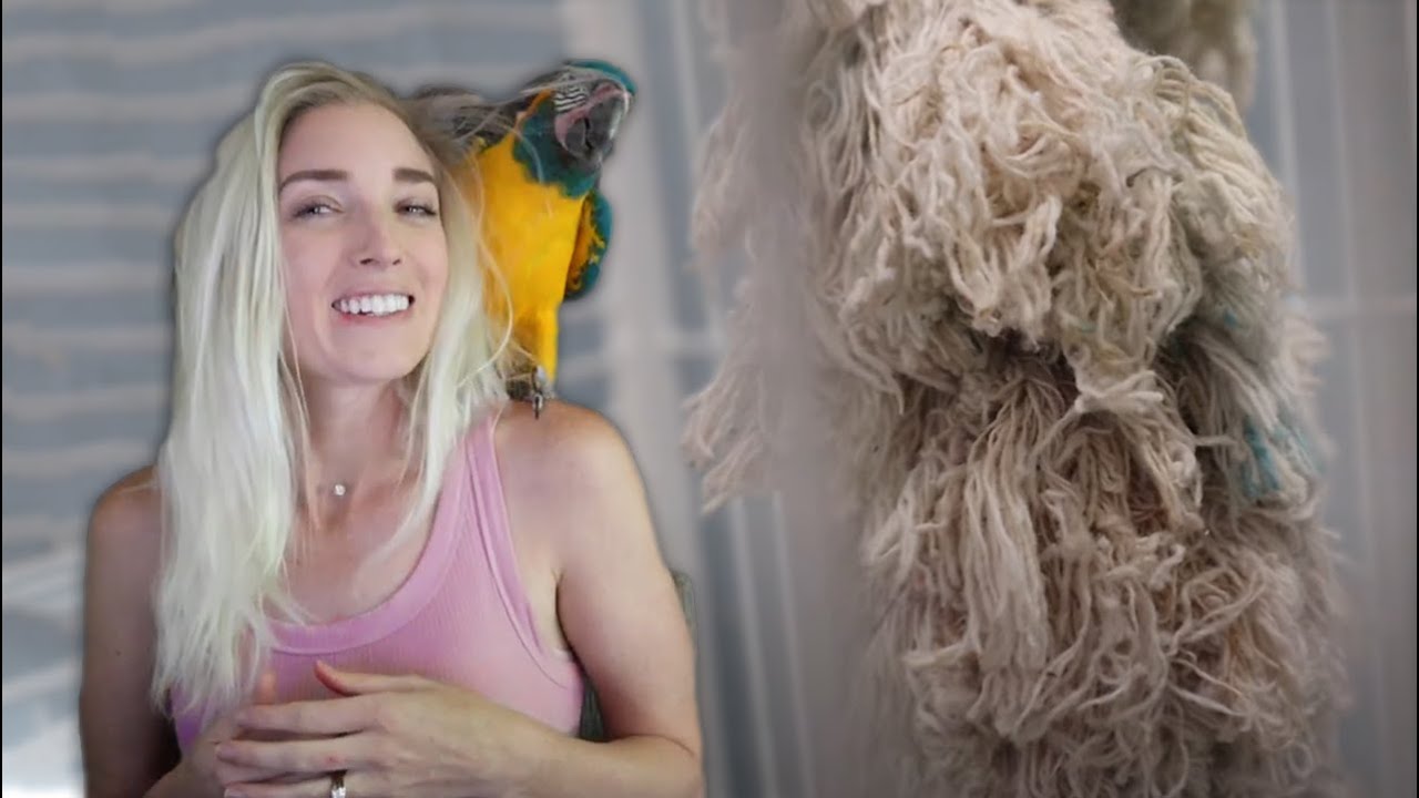 BEWARE ⚠️ Dangerous Parrot Toys