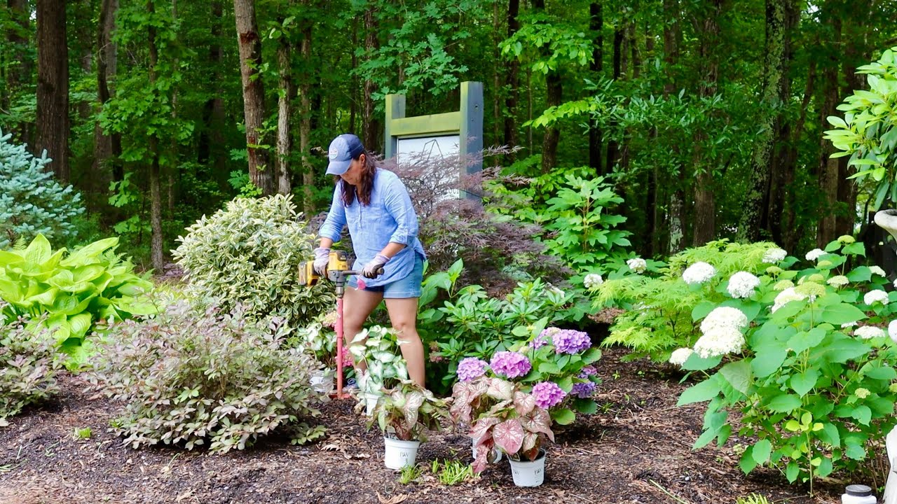 Adding Pops of Color to a Gorgeous Shade Garden