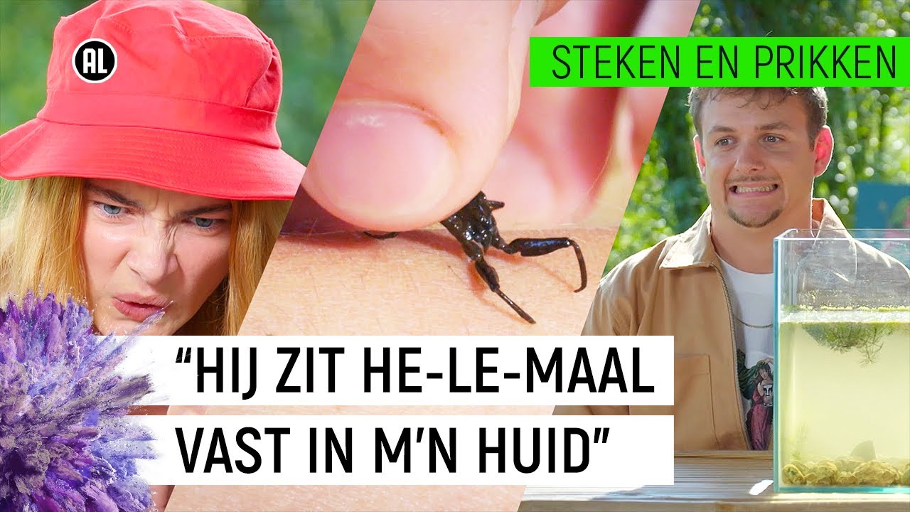 WATERSCHORPIOEN ADEMT MET ZIJN BILLEN! | Steken en Prikken S2 #8 | NPO Zapp
