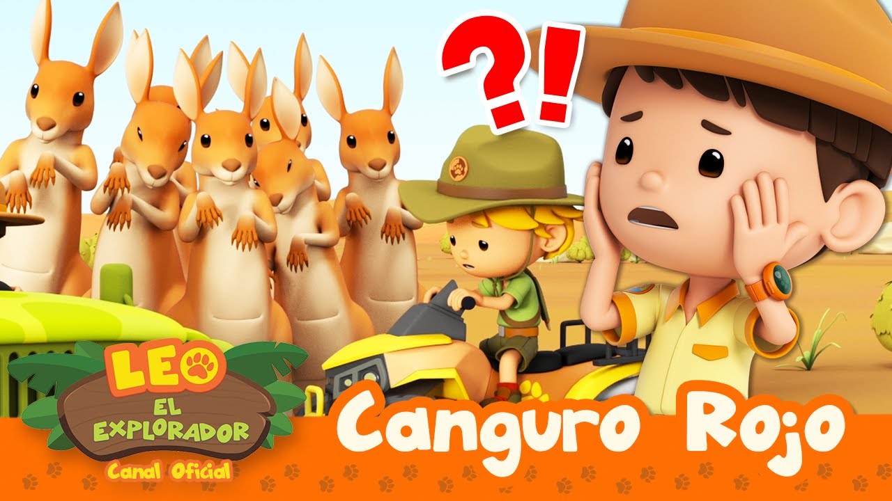 ¿Los CANGUROS están bloqueando la CARRETERA?! 🦘🚘 | Canguro Rojo | Leo, El Explorador | Animación