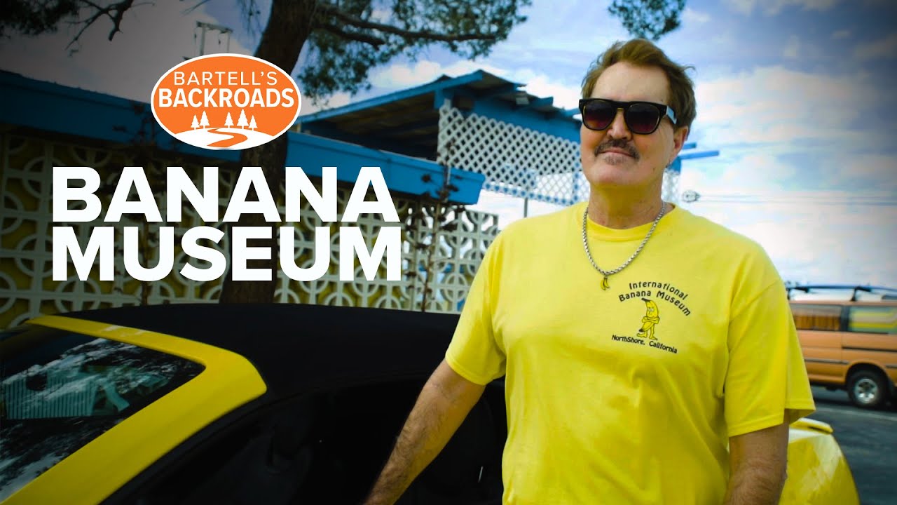 The International Banana Museum is so appealing | Bartell's Backroads