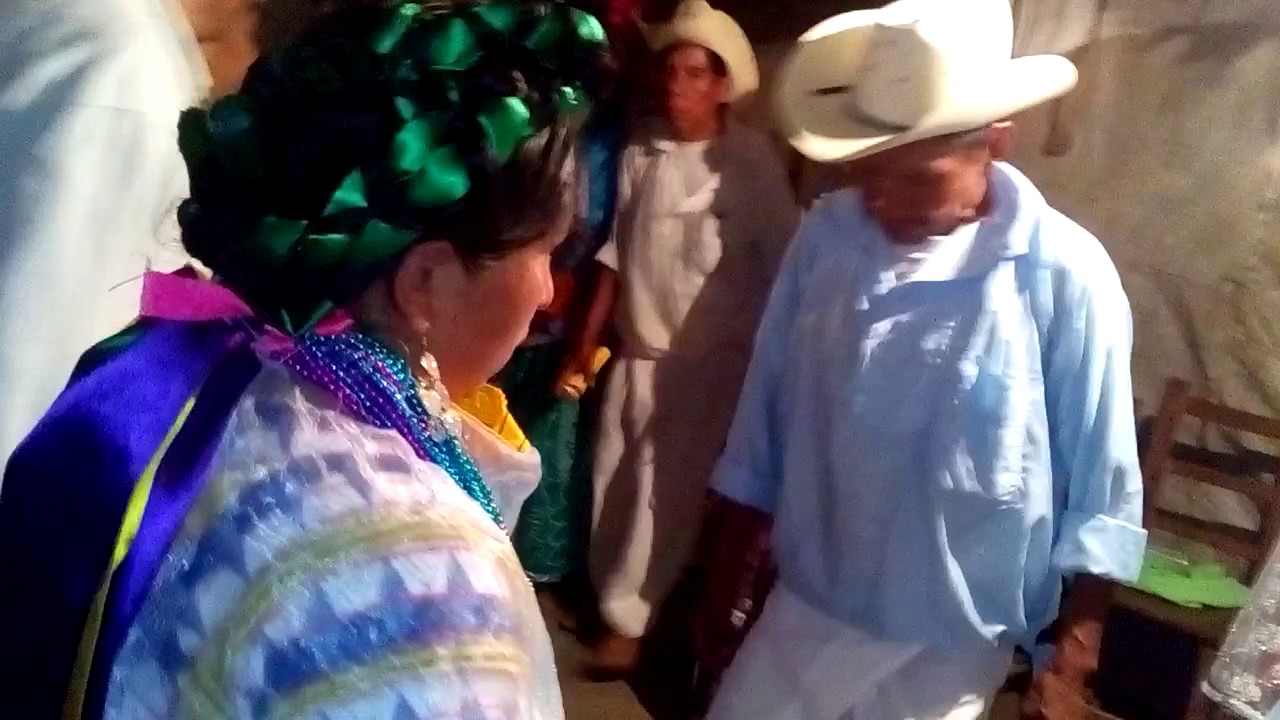 Así se baila guapango en coahuitlan ver.