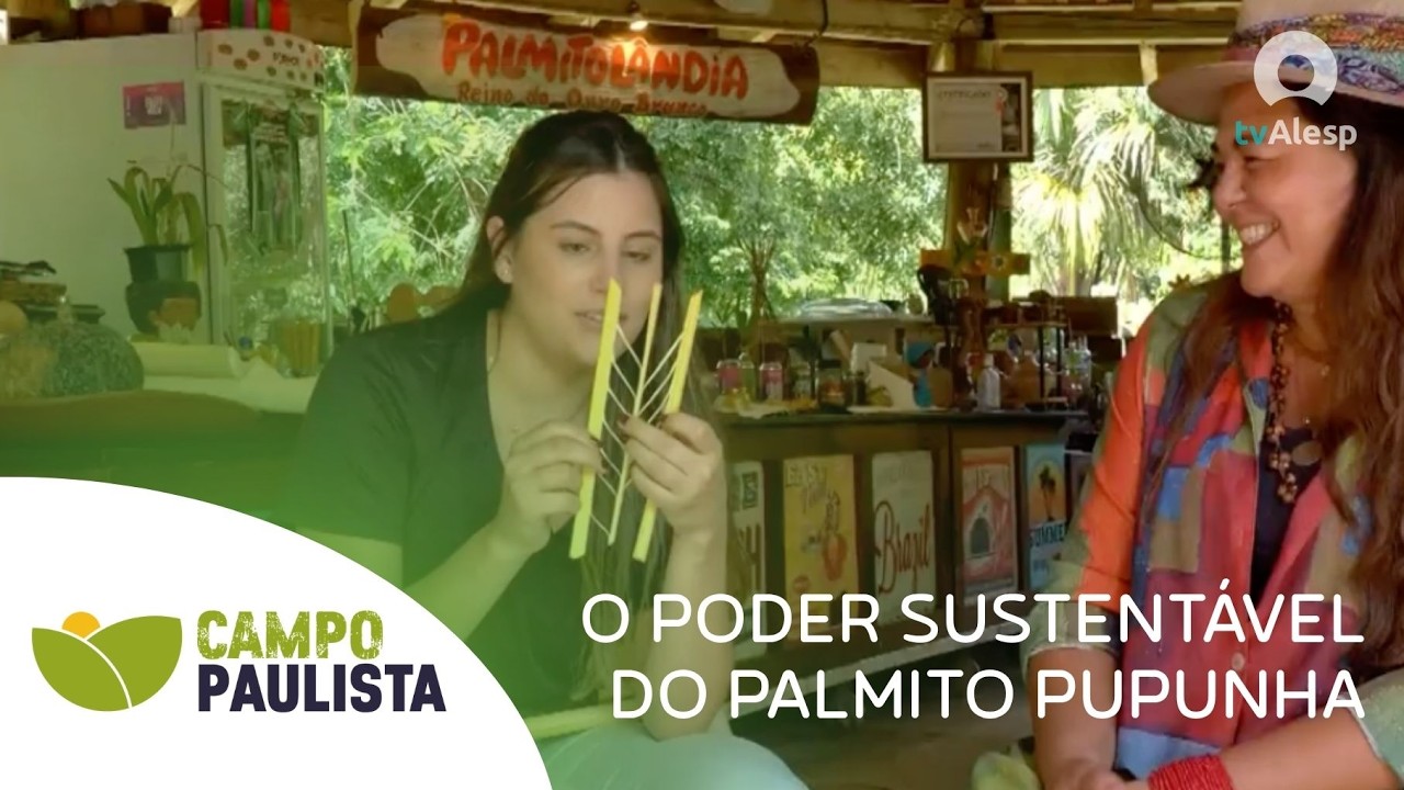 Do Campo à Consciência: o poder sustentável do Palmito Pupunha