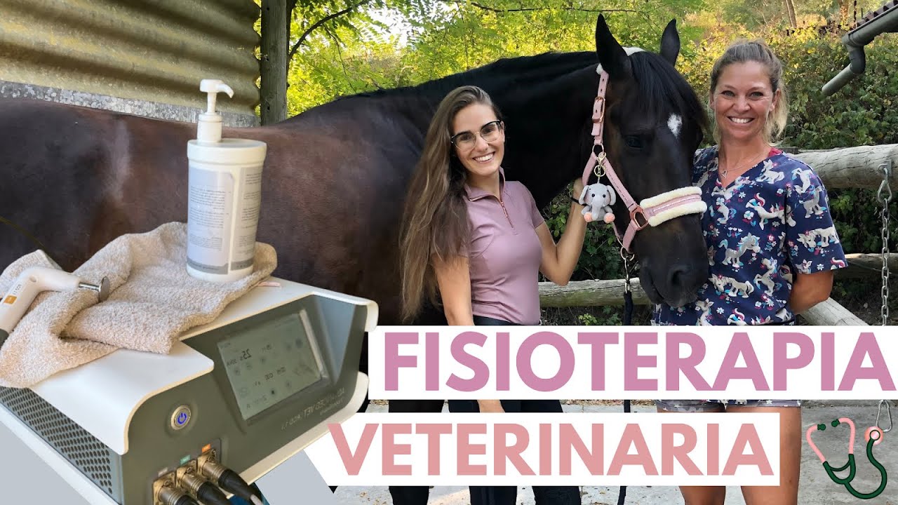 Fisioterapia 👩🏼‍⚕️ para caballos 🐴– Visita a Liberty