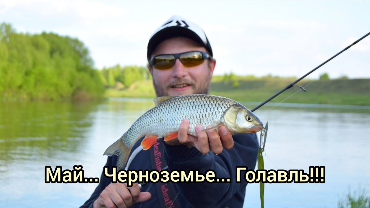 Голавль на спиннинг. Поездка в Липецкую область 2023