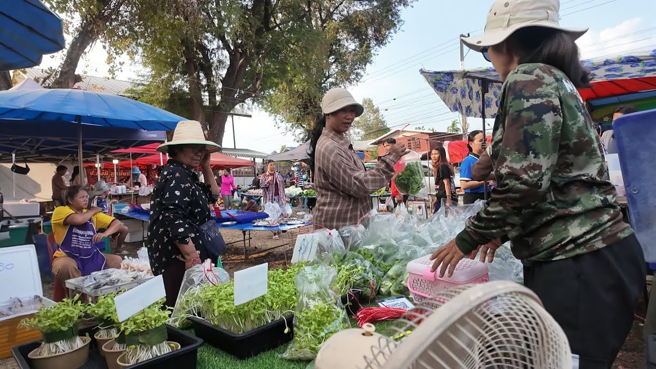 ต้นอ่อนทานตะวันผักสลัดคอสขายหมดเกลี้ยงตลาดนี้ไม่เคยผิดหวัง