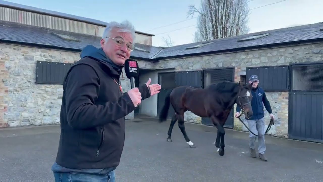 KODIAC &agrave; Tally Ho Stud avec Henry O'Callaghan : Irish Stallion Trail 2026