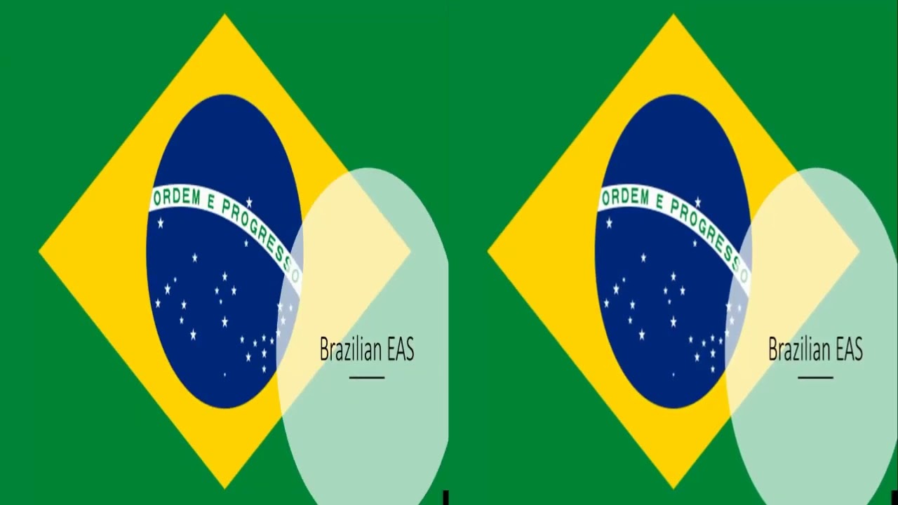 Brazilian EAS Alarm Mermaid Zone