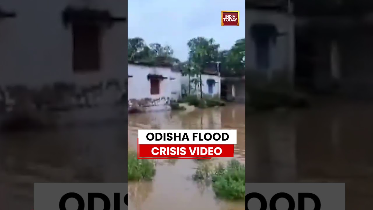 Viral Video: Odisha Flood Alert: River Water Enters Villages in Bhadrak #shorts #odisha #flashflood