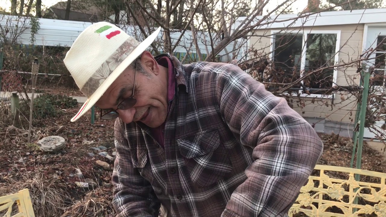 Saber's farm , آموزش باغبانى با صابر ،نهويه زيادى شدن گيلاس و ميوه بر روى درختها