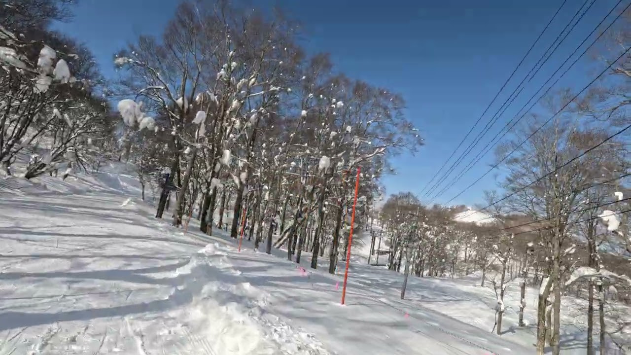 山形蔵王2025/2/3 6