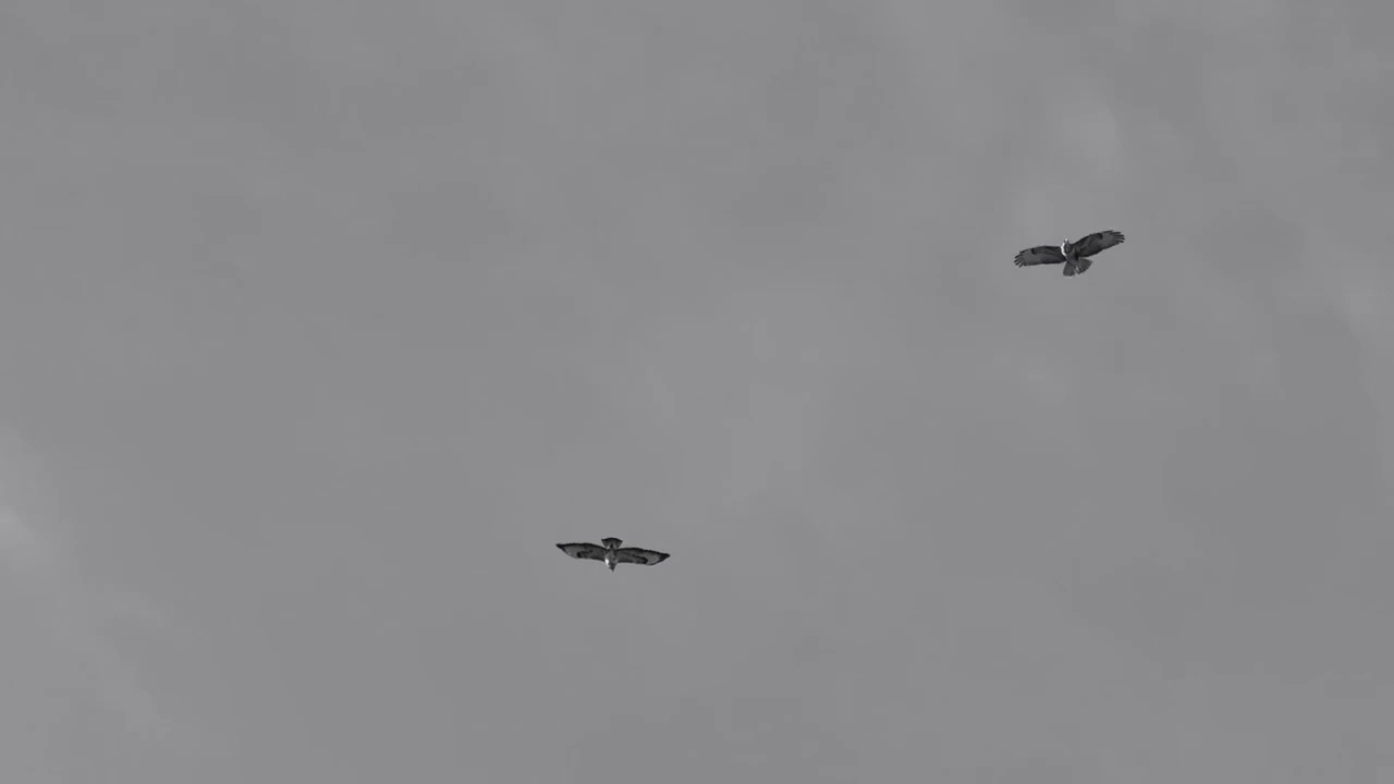 Jean-Louis Murat - Le monde intérieur (album)