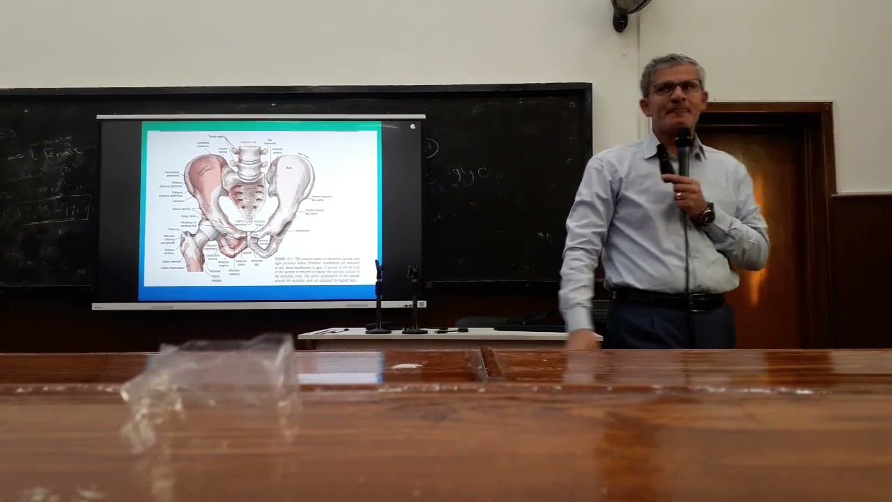 Hip Biomechanics Part II SCU 2024