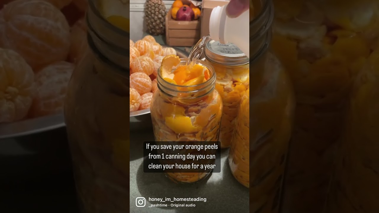 Homemade cleaner with citrus peels and vinegar