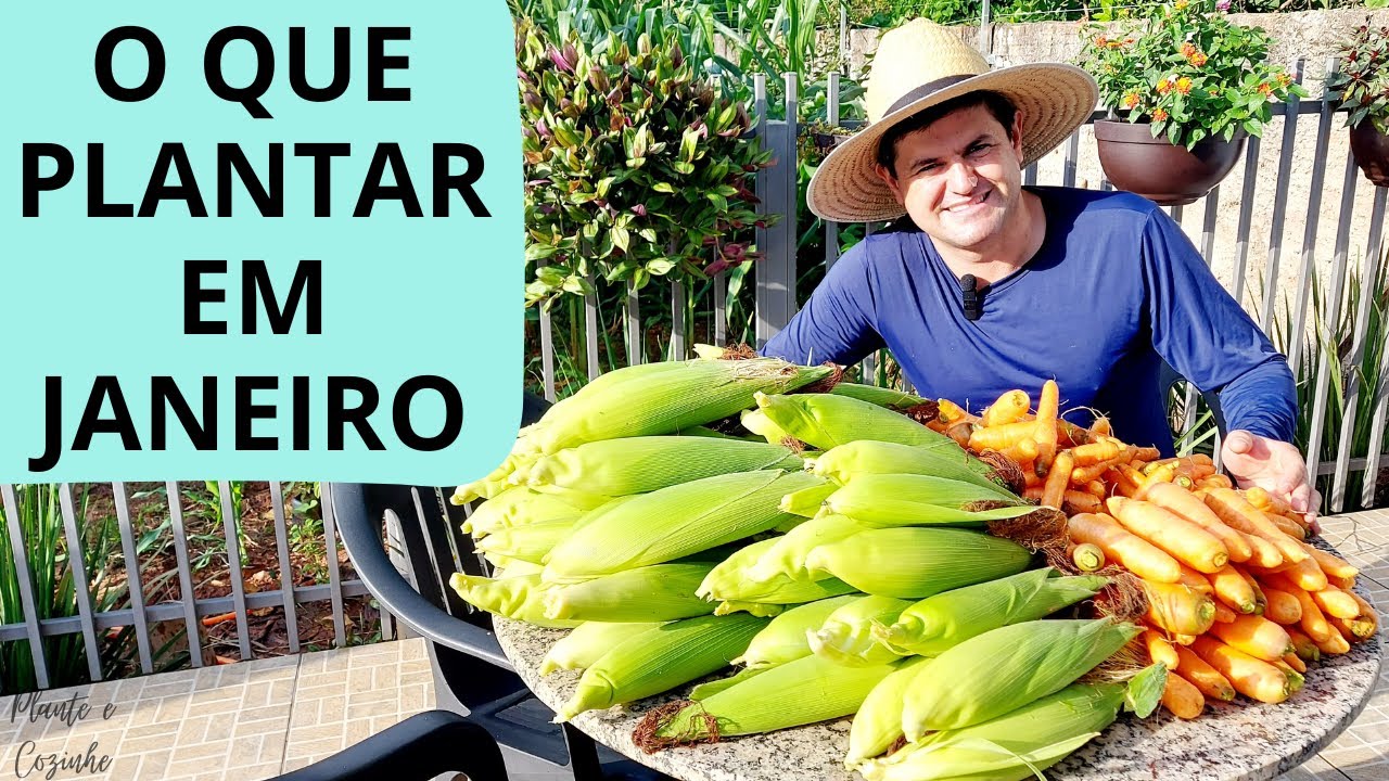 🌱 O Que Plantar em Janeiro na Horta em 2026 | Comece o Ano Colhendo!