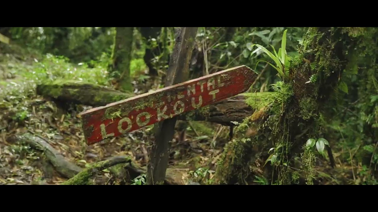 Lost & Found Hostel, Panama | Lustrumreis Panama | LUSTRUMFIESTA