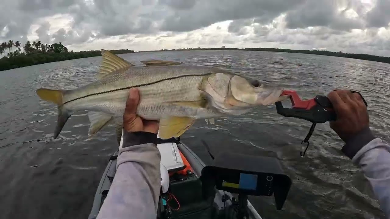 Muito Robalo no Mangue, Pesca com caiaque 