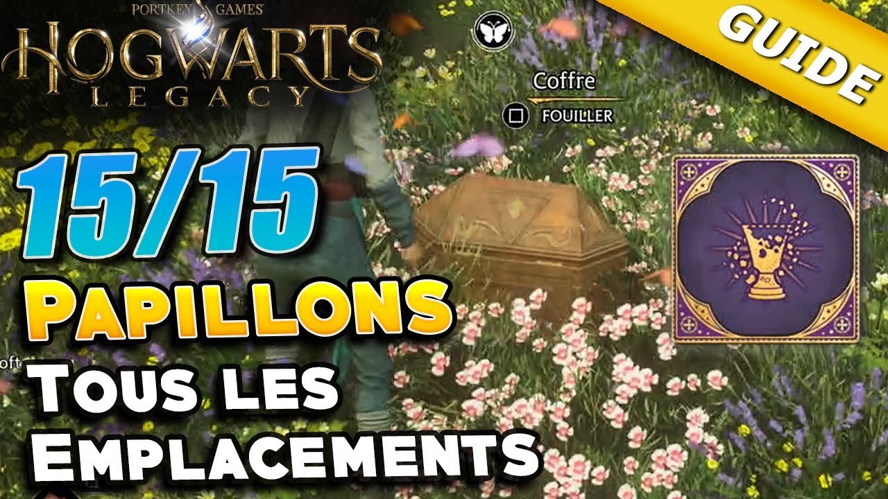 Papillons | Coffres de Collection [Tous les emplacements & Solution] - Hogwarts Legacy