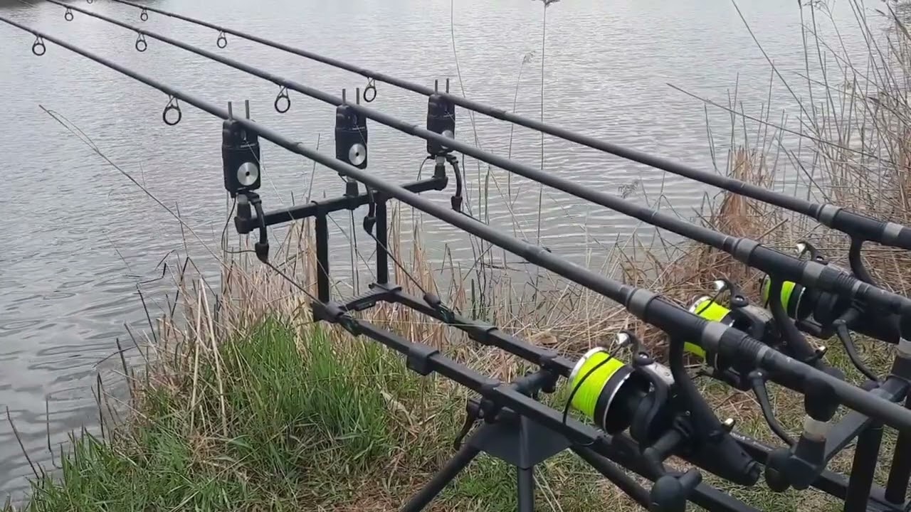 CARP RUN #24