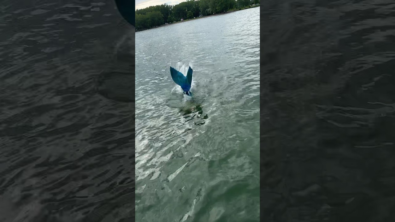 Real life Little Mermaid! 🧜&zwj;♀️