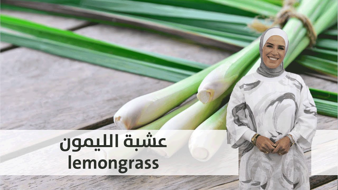 المهندسة الزراعية امل القيمري تتحدث في مطبخ رؤيا عن طرق زراعة عشبة الليمون - lemongrass