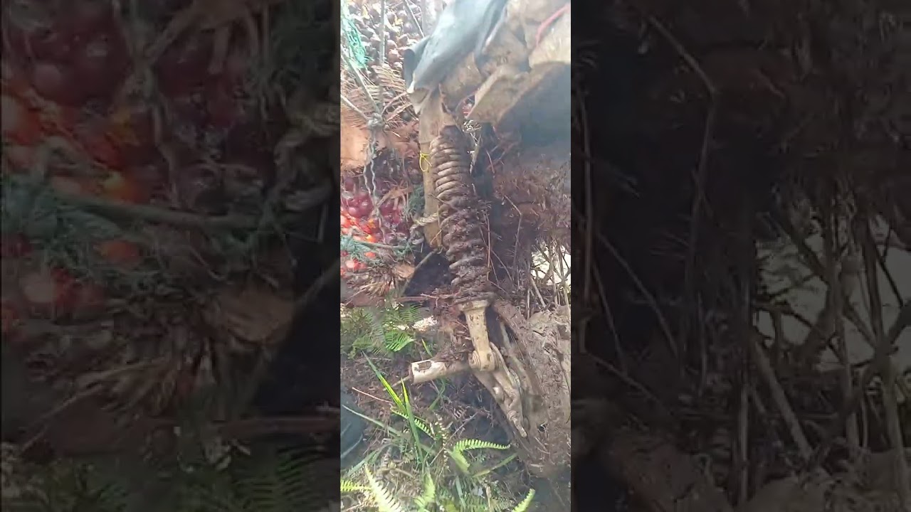 @#*supra fit emang handal#