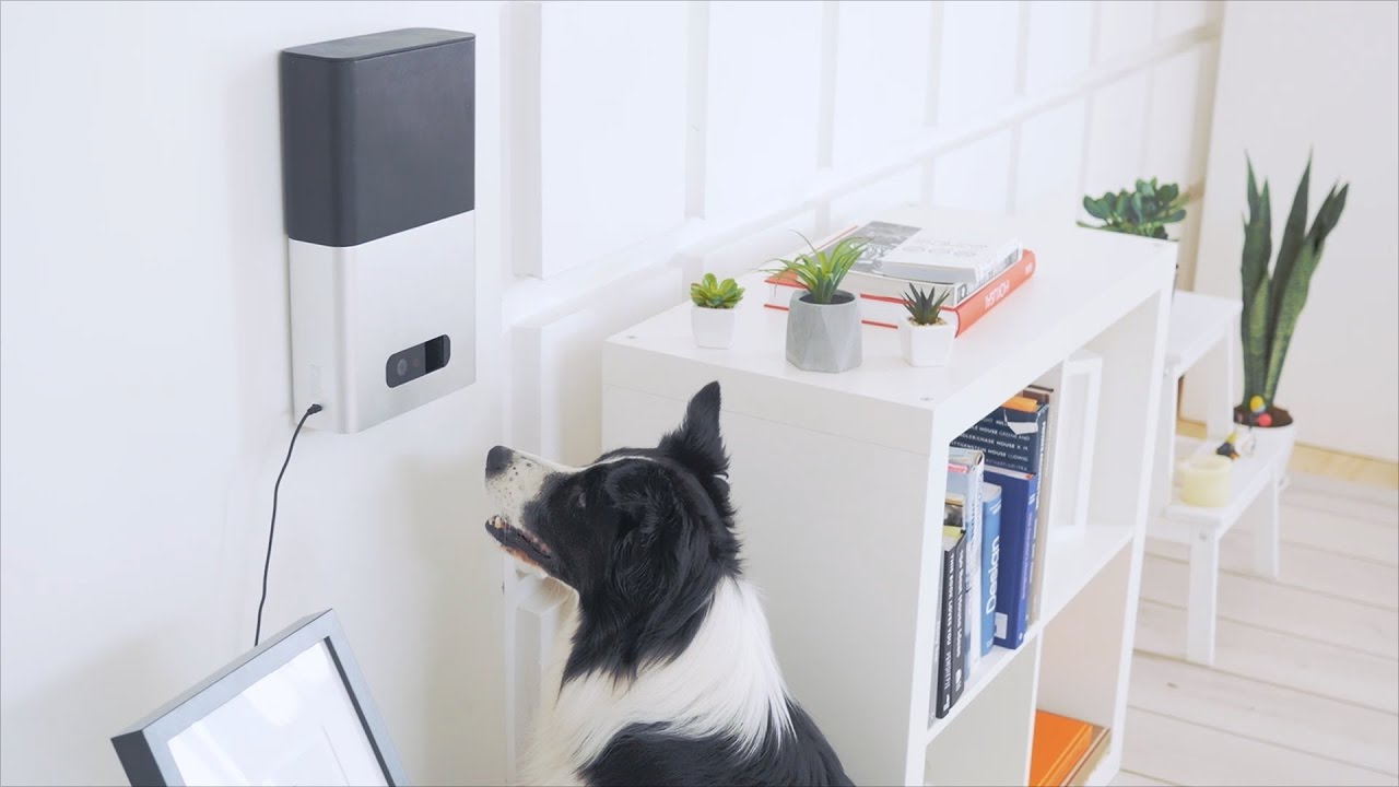 7 Mind-Blowing Pet Gadgets That You've probably Never Seen Before...