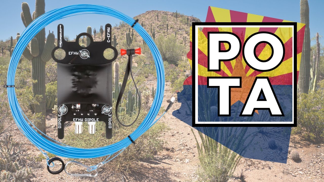 Arizona is Trying To Kill Me - the Chameleon CHA LEFS4010