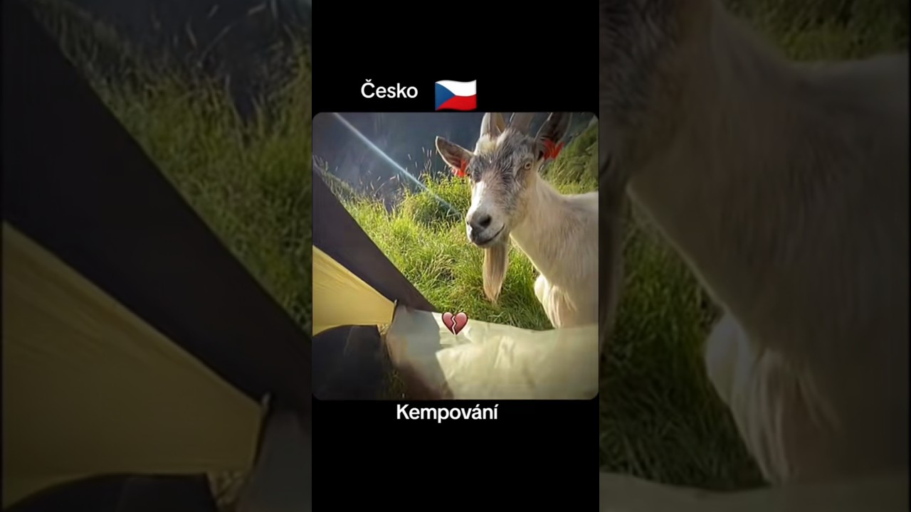 Česko kempov&aacute;n&iacute;