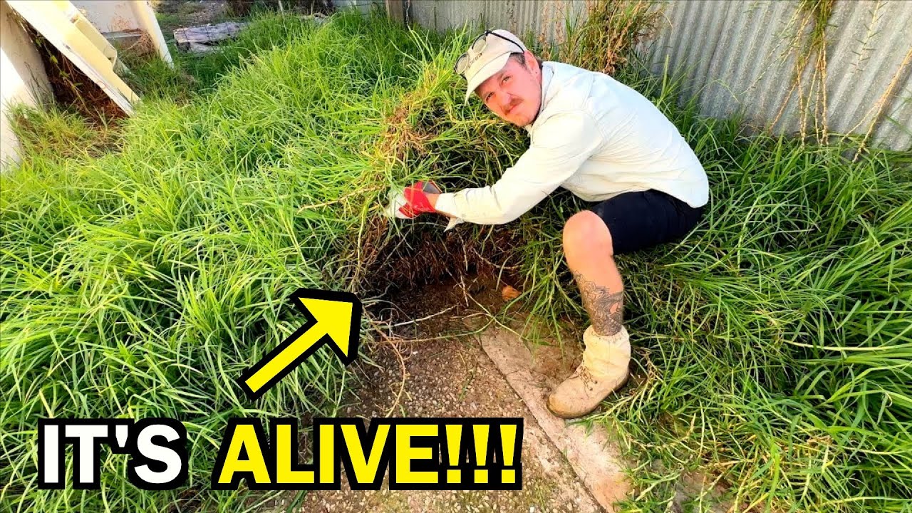 This was LIVING right under their FEET! - I gave this FAMILY a fresh start