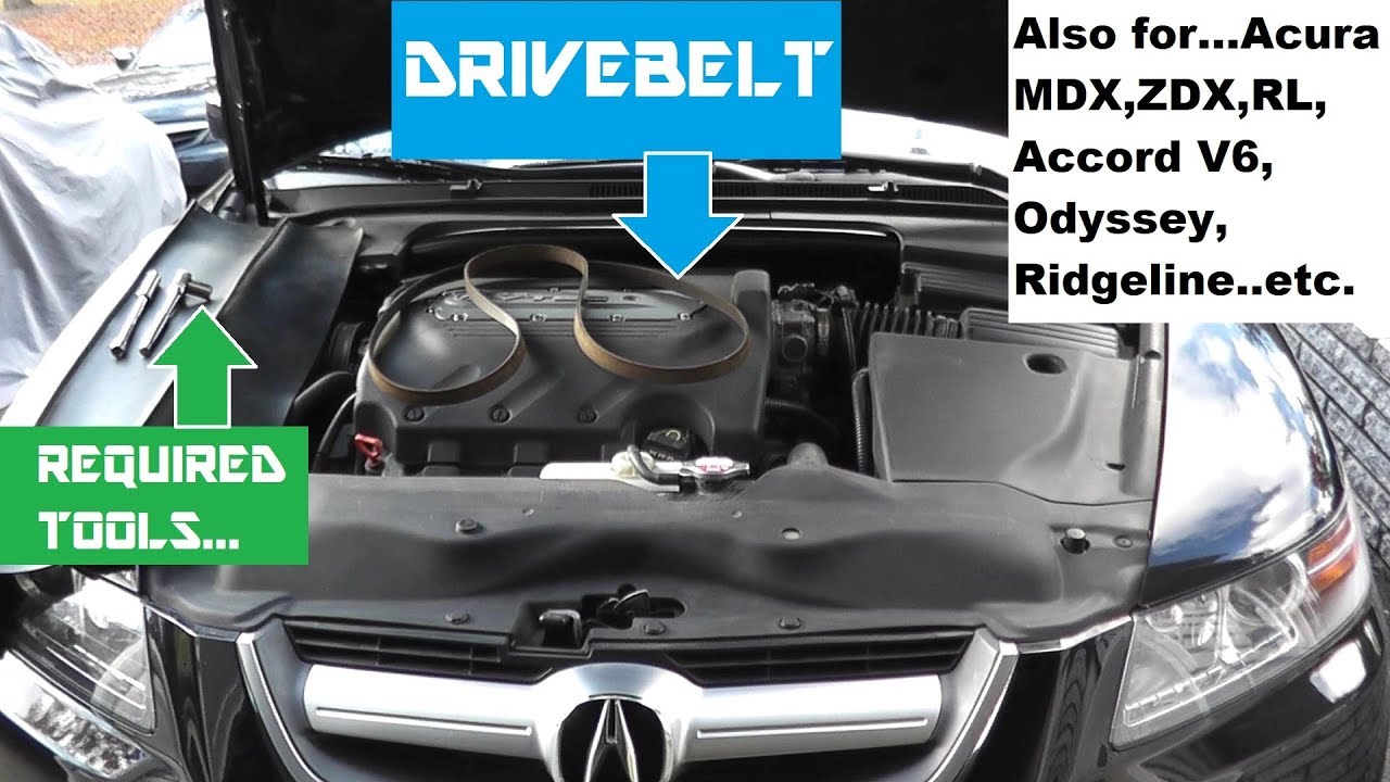 Acura TL and MDX Belt Replacement | Honda Accord and Odyssey Belt