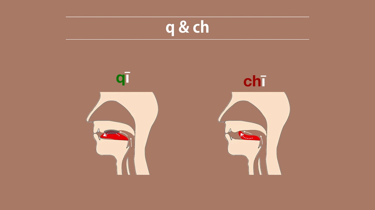 Chinese Pronunciation: 