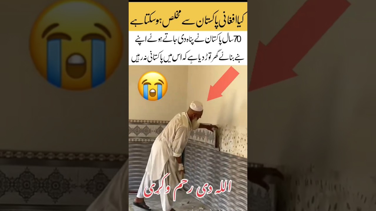 How many Afghani love with Pakistan? 