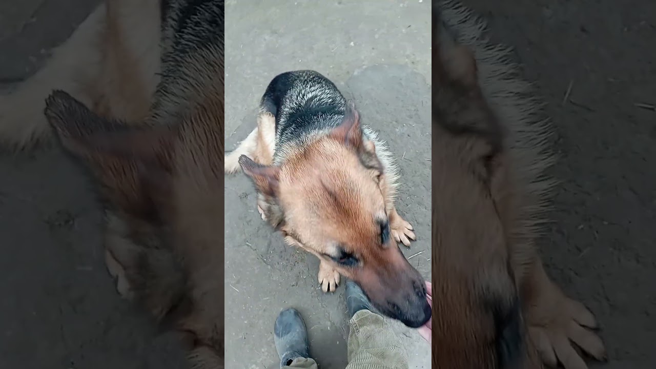 Прошу помощи.