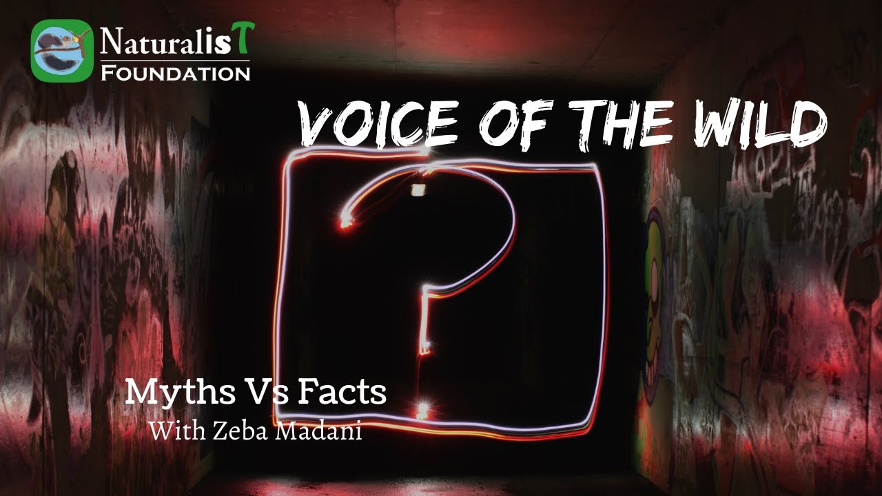 Cow Science Exam | Myths vs Facts
